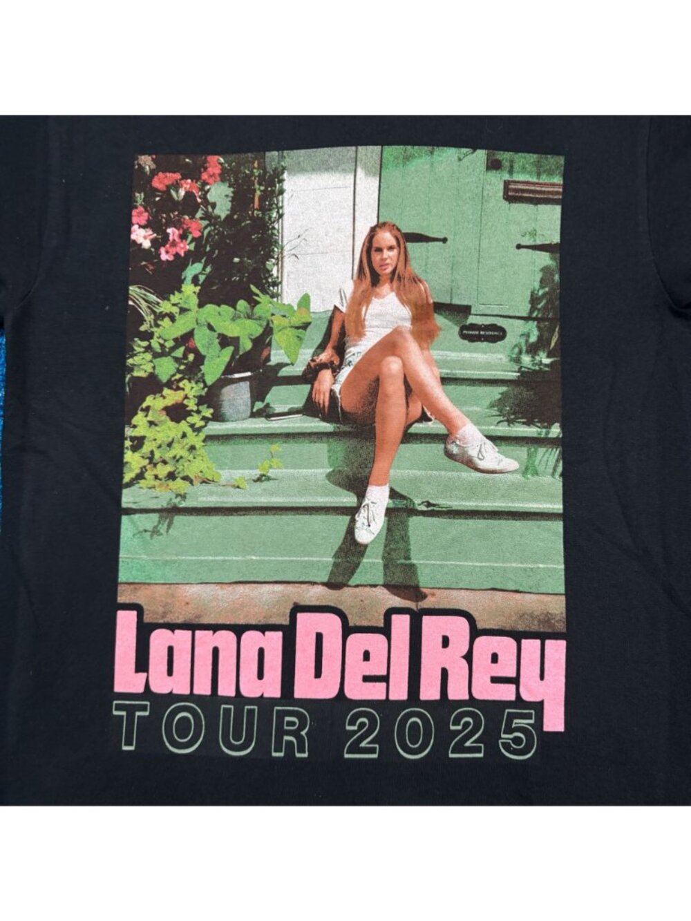 Lana Del Rey “Hinterland Tour Festival” Graphic T-Shirt Size Small View 2